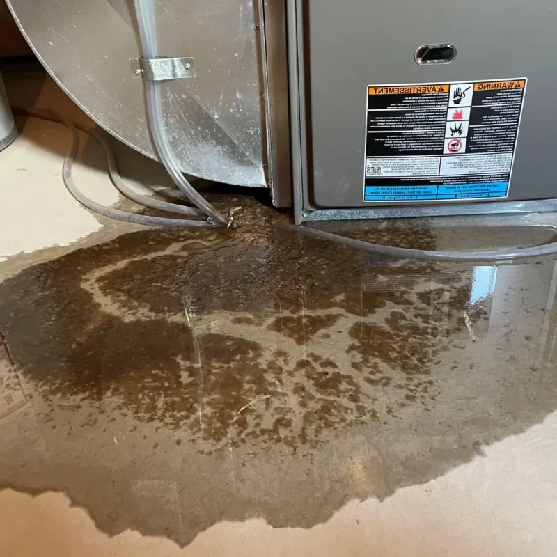 Pipe Burst and Leak Restoration in Schuylerville, NY